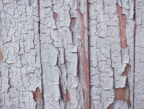 Primer Plano Una Antigua Superficie Madera —  Fotos de Stock