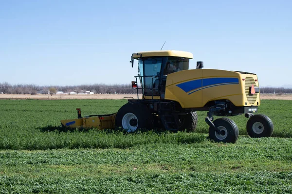 Cortador Autopropulsionado Amarelo Num Campo Agrícola Verde Sob Céu Azul — Fotografia de Stock