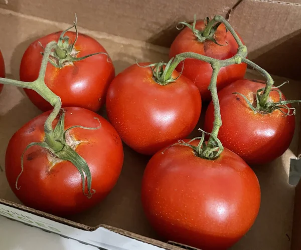 Zbliżenie Świeżych Dojrzałych Pomidorów Pudełku Tekturowym — Zdjęcie stockowe