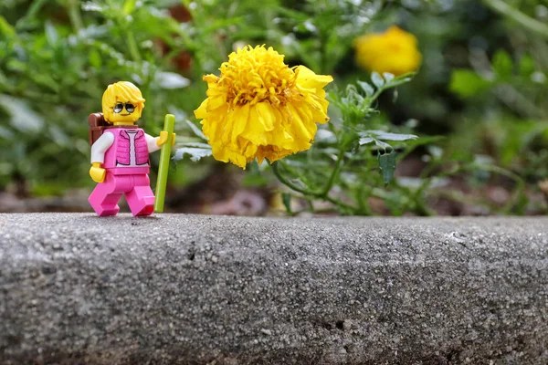 Greenville États Unis Août 2021 Plan Rapproché Une Femme Lego — Photo