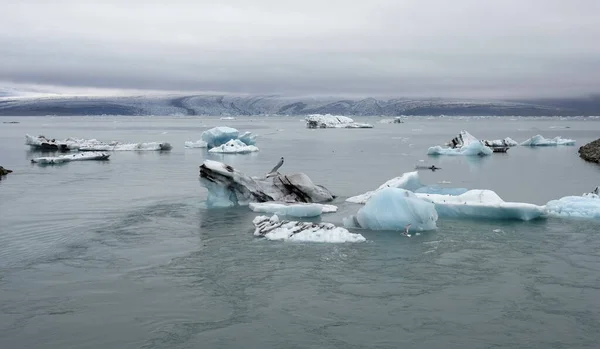 Elmas Sahili Zlanda Kıyıya Vuran Buzul Bloklarının Yakın Çekimi — Stok fotoğraf
