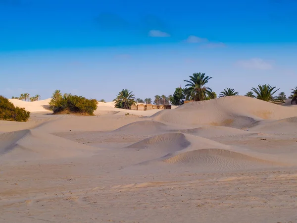 Песчаные Дюны Пустыни Сахары Голубым Небом Douz Tunisia Africa — стоковое фото