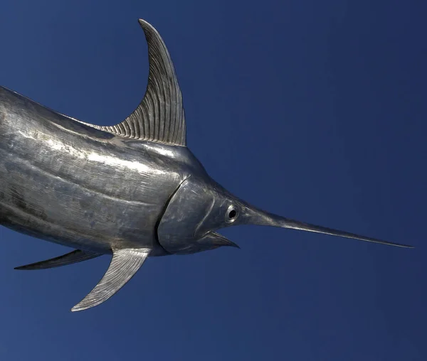 Живописный Вид Рыбы Меч Голубом Фоне — стоковое фото