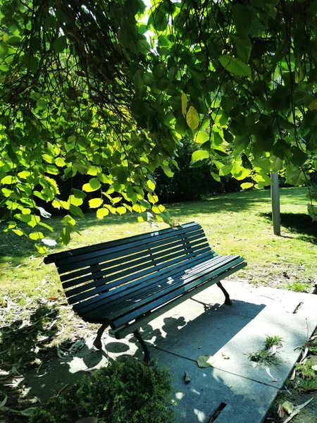 Vertikal Bild Grön Bänk Trädgård Santiago Compostela Spanien — Stockfoto