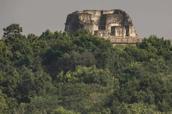 Naturskön Utsikt Över Temple Temple Masks Tikal Guatemala — Stockfoto