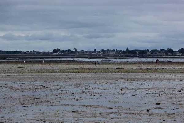 Dark Gloomy Skyscape Seashore Low Tide — Stock Photo, Image