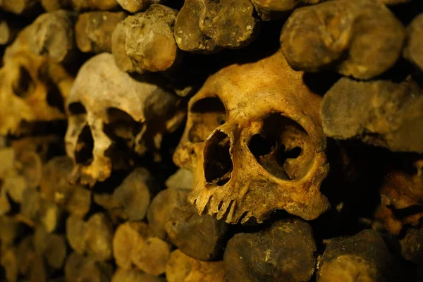 Ijesztő Kísérteties Emberi Koponyák Csontok Föld Alatti Ossuary Ban — Stock Fotó