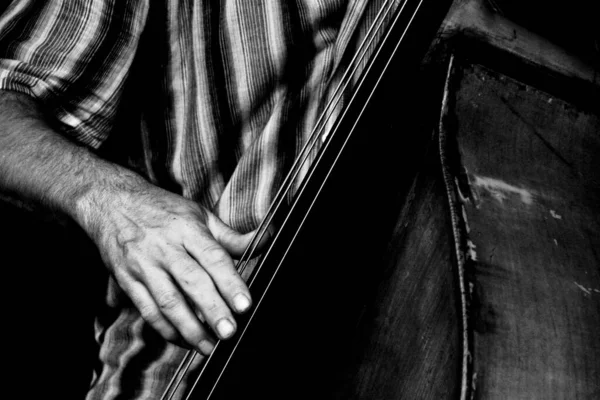 Grayscale Shot Male Playing Double Bass — Stock Photo, Image