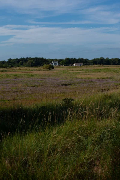 Una Vista Paisaje Rural Con Casas Solitarias Fondo — Foto de Stock