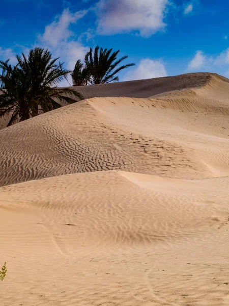 Die Sanddünen Der Sahara Mit Blauem Himmel Douz Tunesien Afrika — Stockfoto