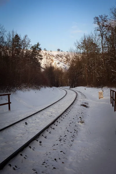 Snötäckt Järnväg Som Passerar Genom Ett Lövlöst Trä — Stockfoto