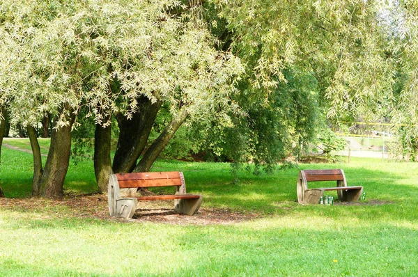공원에 의자들을 자연스럽게 바라본 — 스톡 사진