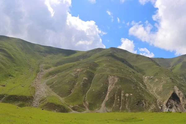 Cielo Blu Nuvole Gonfie Sui Verdi Campi Pianeggianti Primavera — Foto Stock