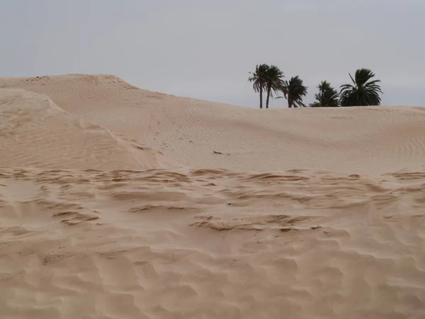 Zandduinen Sahara Woestijn Met Blauwe Lucht Douz Tunesië Afrika — Stockfoto