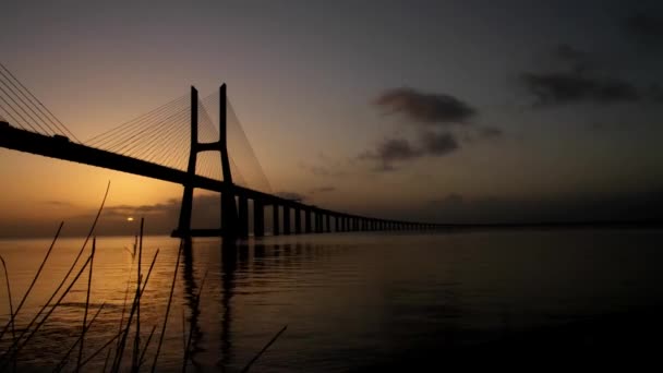 Ponte Sobre Rio Pela Manhã — Vídeo de Stock