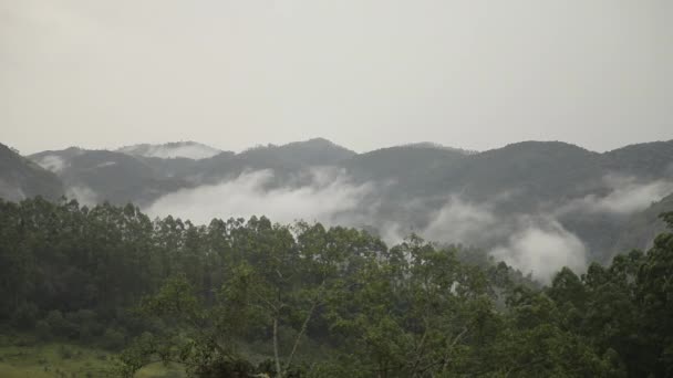 霧に包まれた美しい風景 — ストック動画