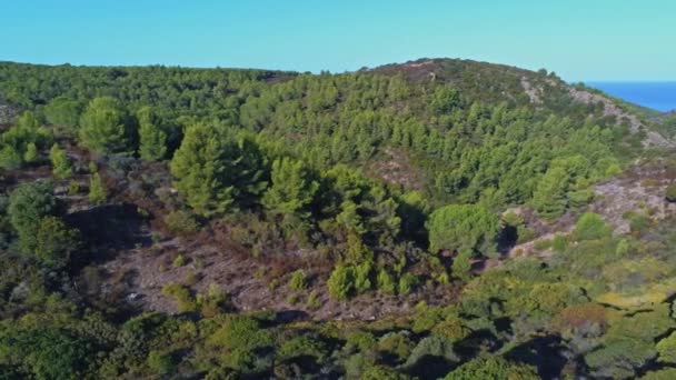 緑の木々に覆われた山 — ストック動画