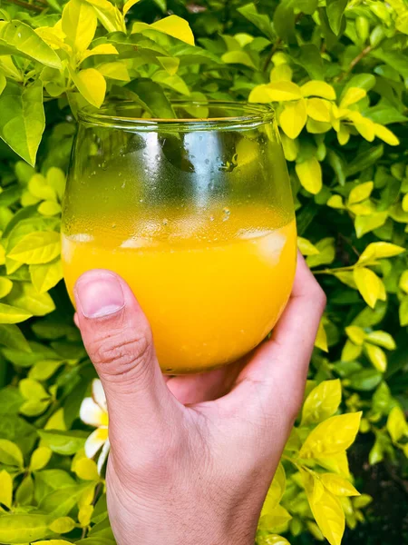 Tiro Vertical Uma Mão Homem Segurando Copo Suco Laranja Contra — Fotografia de Stock