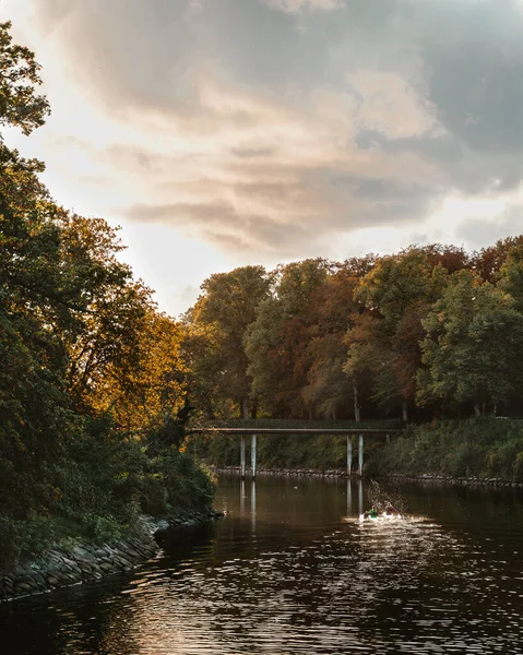 Vertikal Bild Glänsande Flod Omgiven Täta Träd Molnig Himmel Vid — Stockfoto