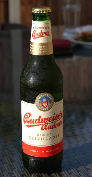 Billericay Ηνωμενο Βασιλειο Ιουλ 2021 Ένα Μπουκάλι Budweiser Budvar Τσέχικη — Φωτογραφία Αρχείου
