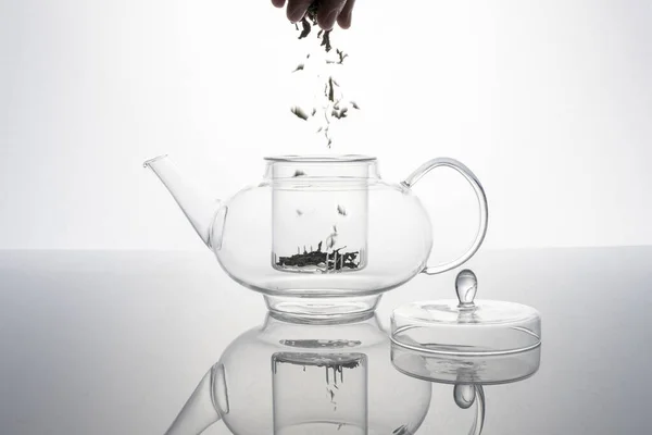 Bir Cam Çaydanlığa Çay Yaprağı Koyuyor Beyaz Arka Plana Karşı — Stok fotoğraf