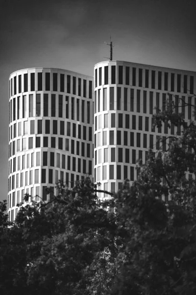 Modernos Edifícios Altos Forma Redonda Com Árvores Primeiro Plano — Fotografia de Stock