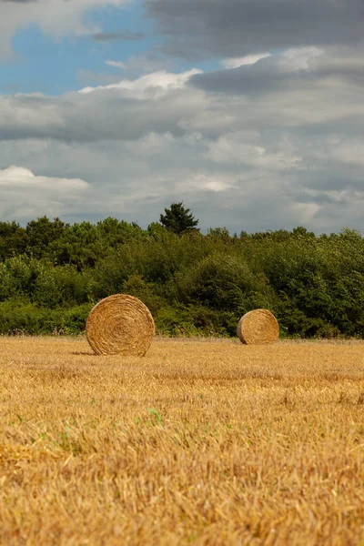 Rolls Stacked Hay Industrial Field Cloudy Sky — Stock Photo, Image