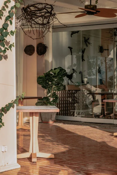 Tiro Vertical Café Livre Com Portas Vidro Mesas Plantas Como — Fotografia de Stock