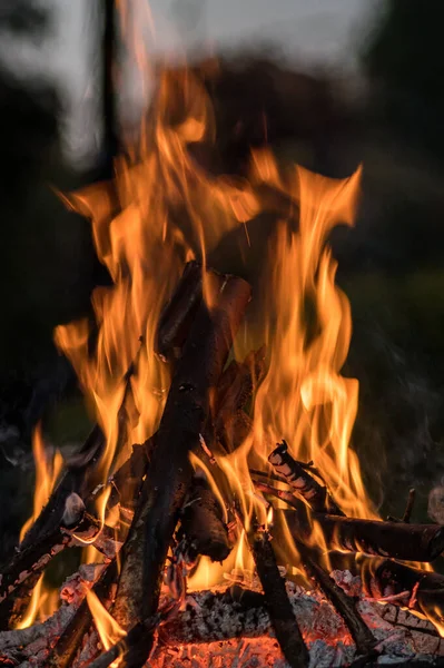 Närbild Lägereld Skogen — Stockfoto