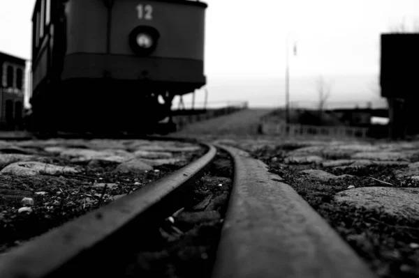 Uno Scatto Scala Grigi Vagone Ferroviario Rotaie — Foto Stock