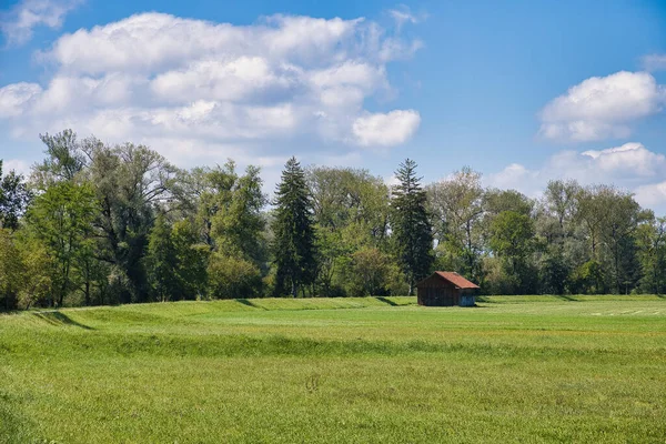 Een Houten Hut Een Landelijk Veld Omringd Door Bomen Een — Stockfoto