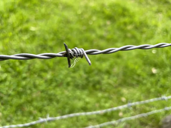 Closeup Shot Barbed Wire Green Blurred Background — Stock Photo, Image