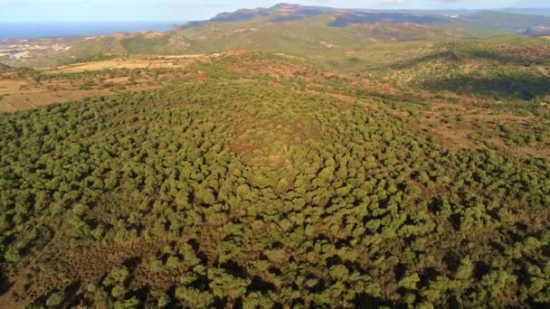 Vista Aérea Del Bosque Desde Cima Una Colina Vacía — Vídeo de stock