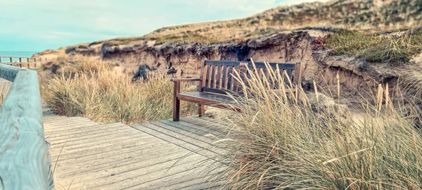 海岸沿いに木のベンチがある芝生の風景 — ストック写真