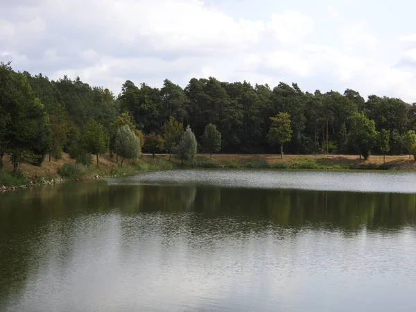 有树木的湖水 — 图库照片