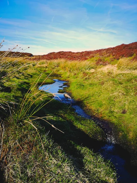 Eine Landschaftliche Aufnahme Eines Dünnen Wasserstroms Der Durch Ein Grünes — Stockfoto