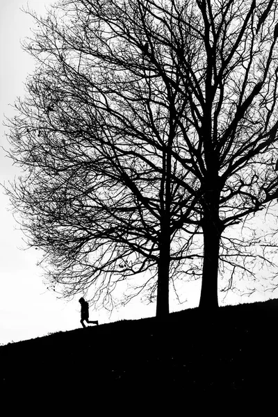 Silhouette Man Next Two Large Bare Trees — Stock Photo, Image