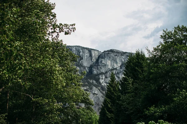 Paysage Chef Stawamus Couvert Verdure Sous Ciel Nuageux Canada — Photo