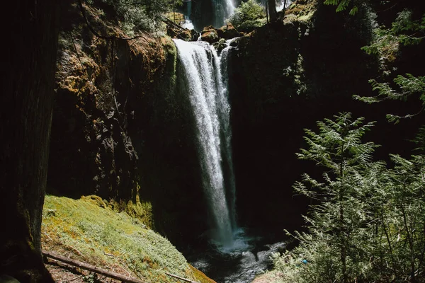 Falls Creek Falls Trailhead Zöldövezetben Sziklák Usa Ban — Stock Fotó