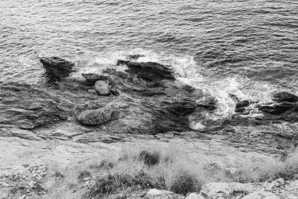 Крупный План Природы Моря Скал Небольших Трав Пляже Черно Белом — стоковое фото