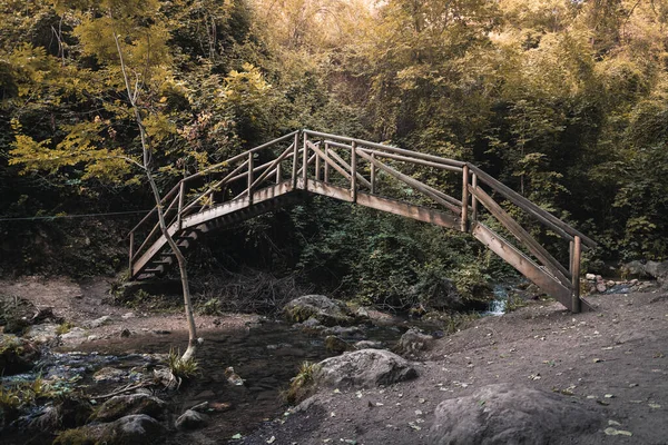 Primer Plano Puente Madera Sobre Río Poco Profundo Bosque — Foto de Stock