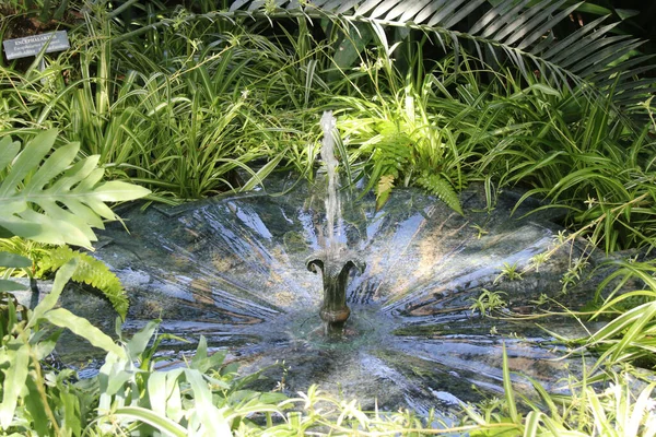 在阳光下绿树成荫的公园里一个小喷泉的特写镜头 — 图库照片