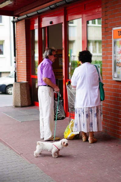 Poznan Polónia Setembro 2015 Homem Mais Velho Com Cachorro Uma — Fotografia de Stock