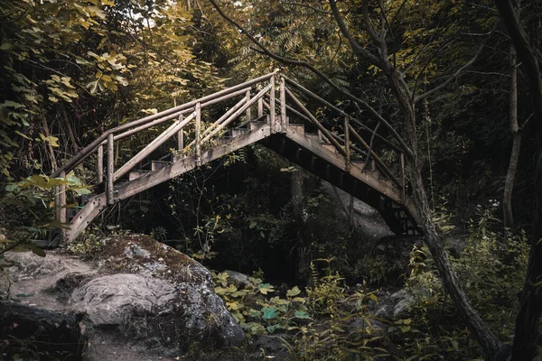 Egy Híd Közelsége Egy Sekély Folyó Felett Erdőben — Stock Fotó