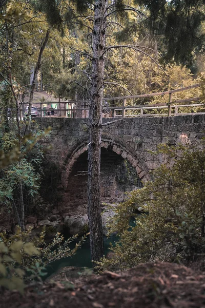 河上一座旧混凝土桥的特写 — 图库照片