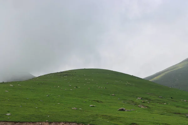 Zatažená Obloha Nad Zelenými Horami — Stock fotografie