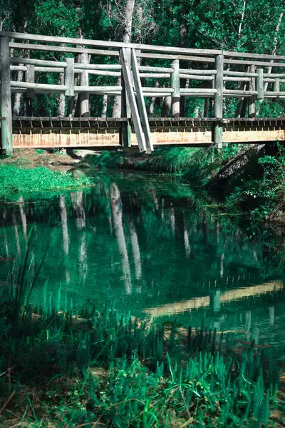 森のきれいな川の水の上に木製の橋 — ストック写真