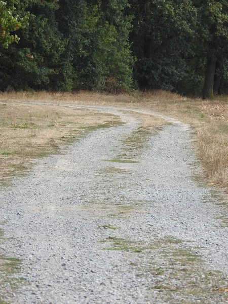 Tarladan Geçen Bir Yol — Stok fotoğraf