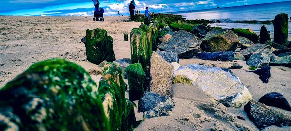 Una Fila Rocas Una Orilla Cubierta Algas Verdes Día Soleado — Foto de Stock