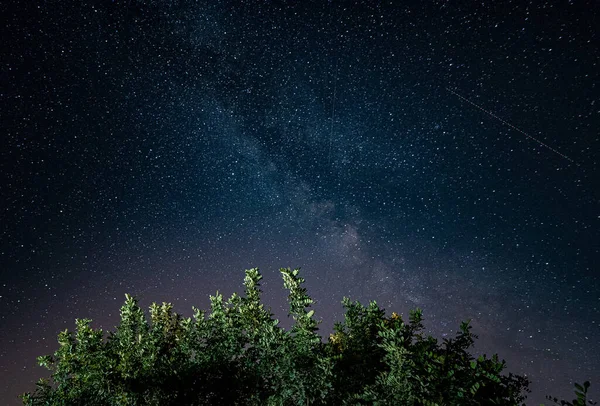 Nádherná Hvězdnatá Obloha Stromové Zeleň Popředí — Stock fotografie